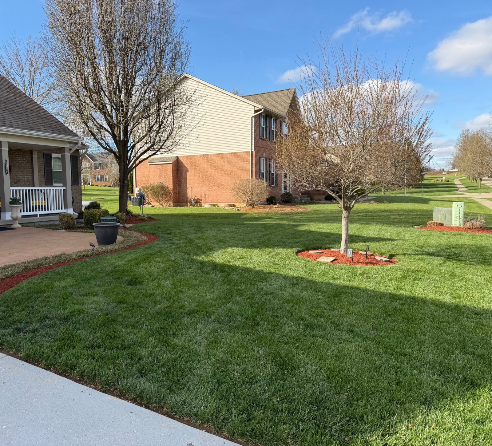 After — finished lawn by Natureway